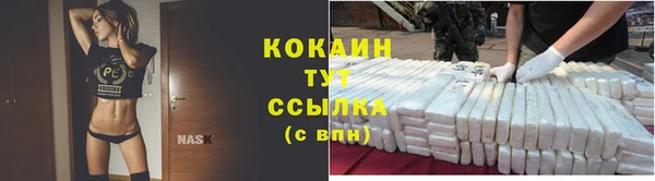 дживик Волоколамск