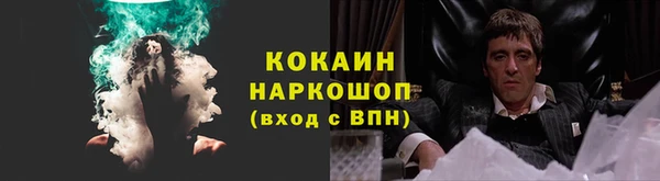 гидра Володарск