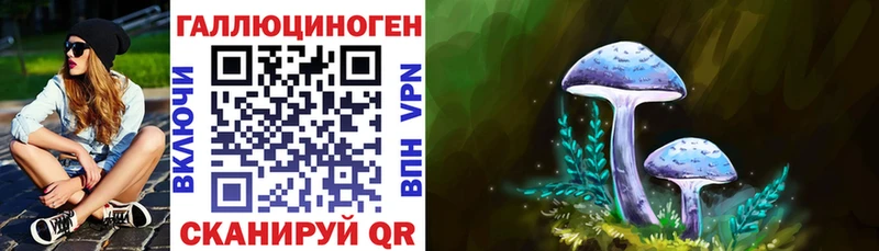 Галлюциногенные грибы мухоморы  mega tor  Черноголовка 